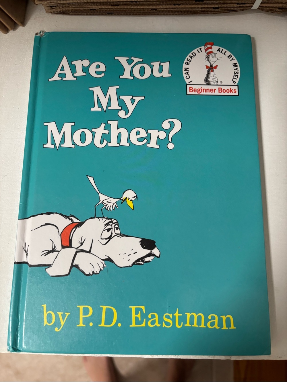 Are You My Mother? - Teal Children's Book by